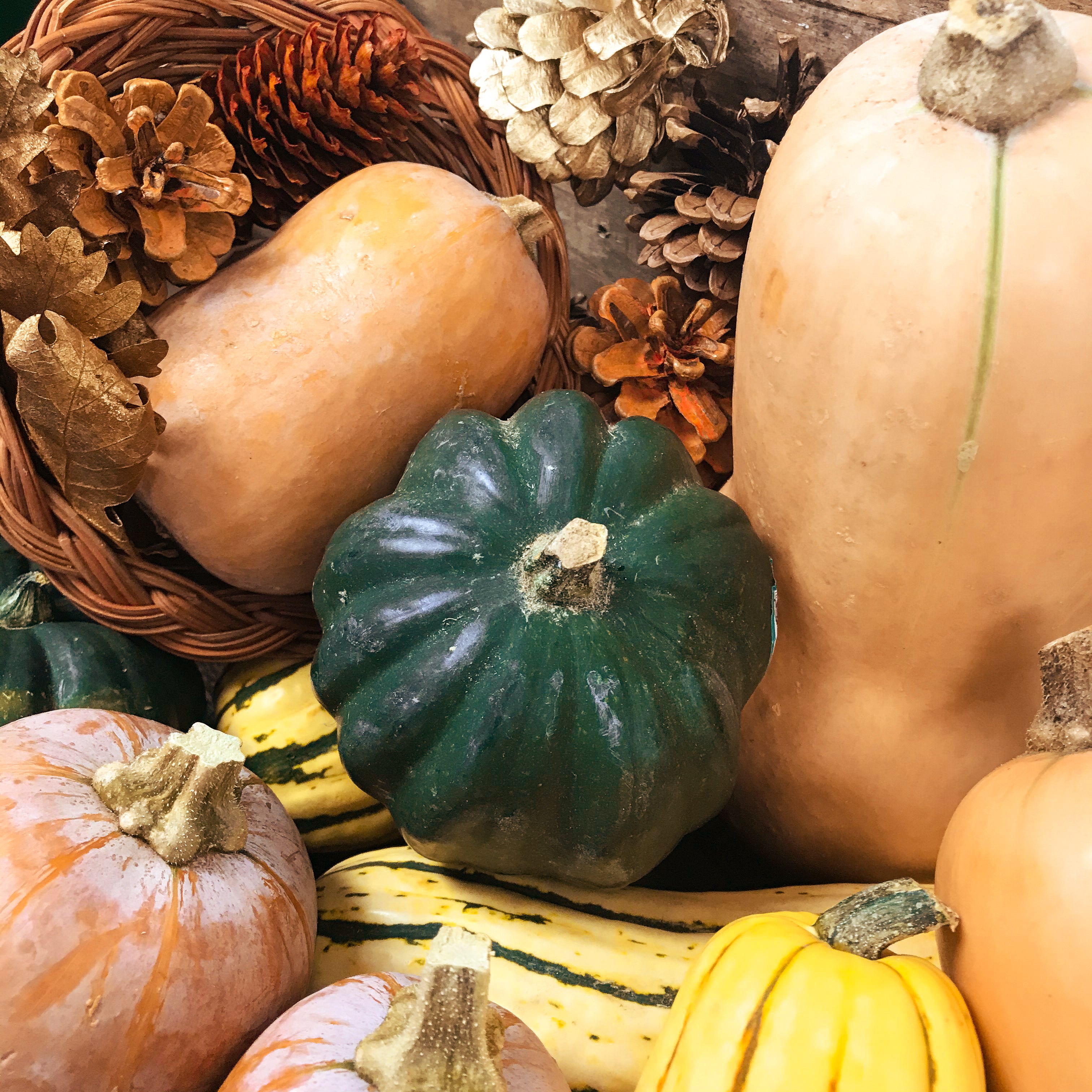 Gourd Vibrations