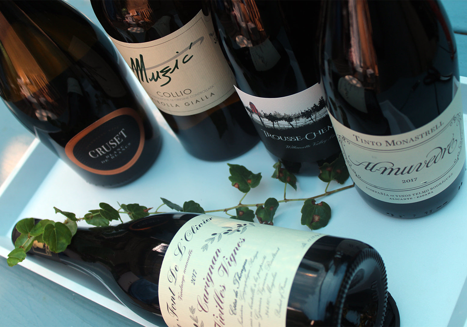 Red, Gold & Glou: New Wines for Fall