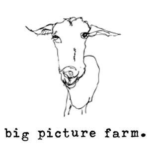 Big Picture Farm